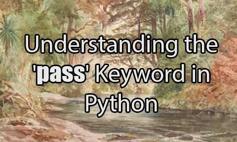 Understanding the 'pass' Keyword in Python